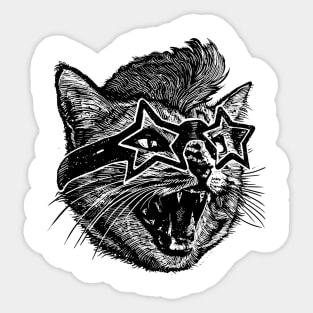 Funky cat Sticker